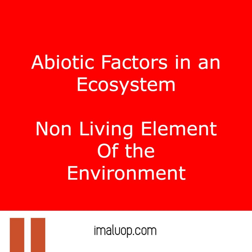 Abiotic Factors in an Ecosystem