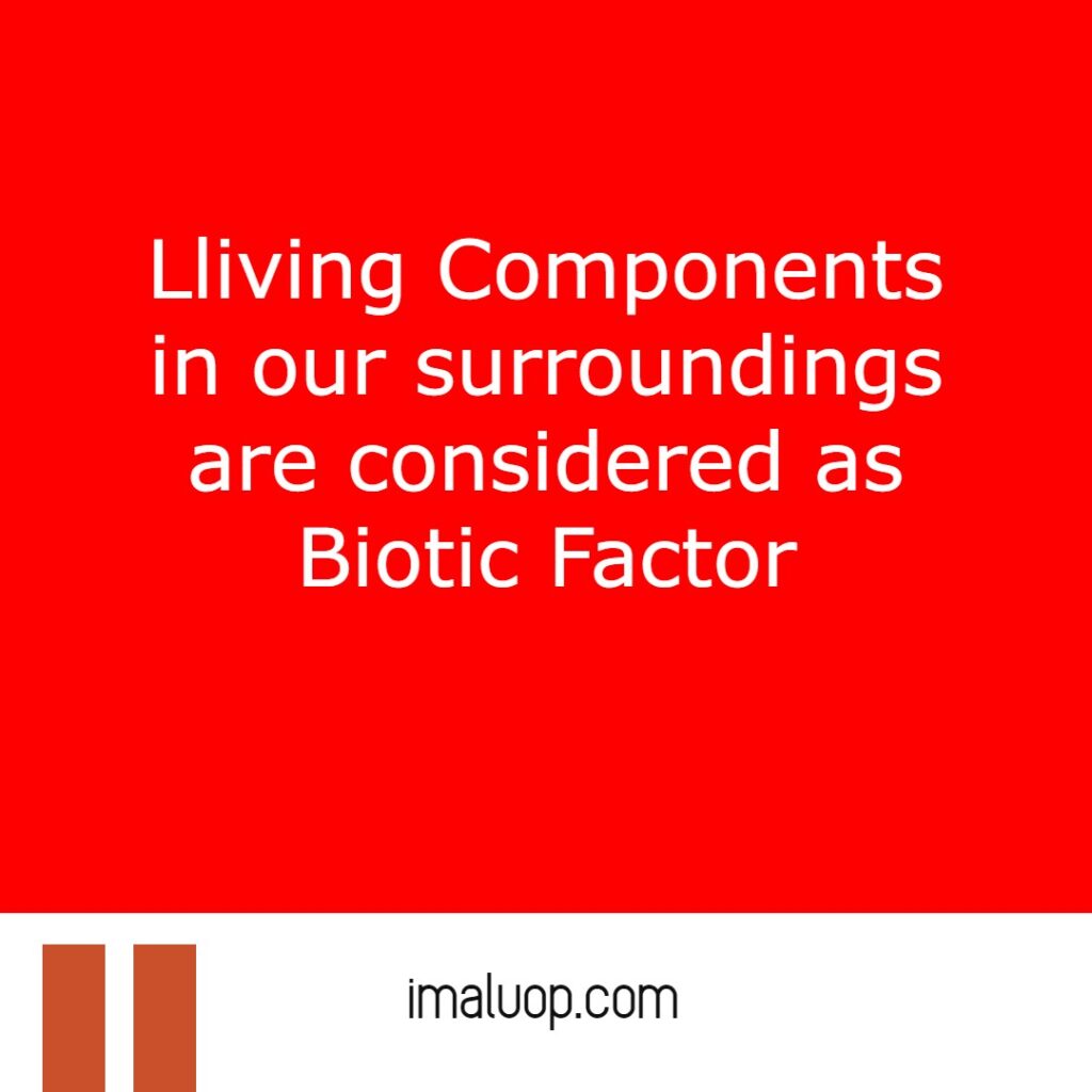 Biotic Factors in an Ecosystem