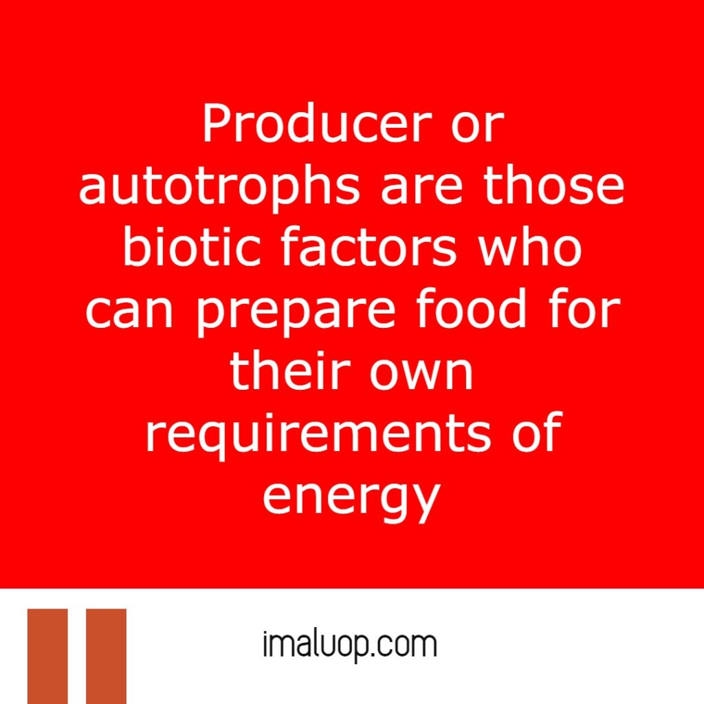 Biotic Factors in an Ecosystem