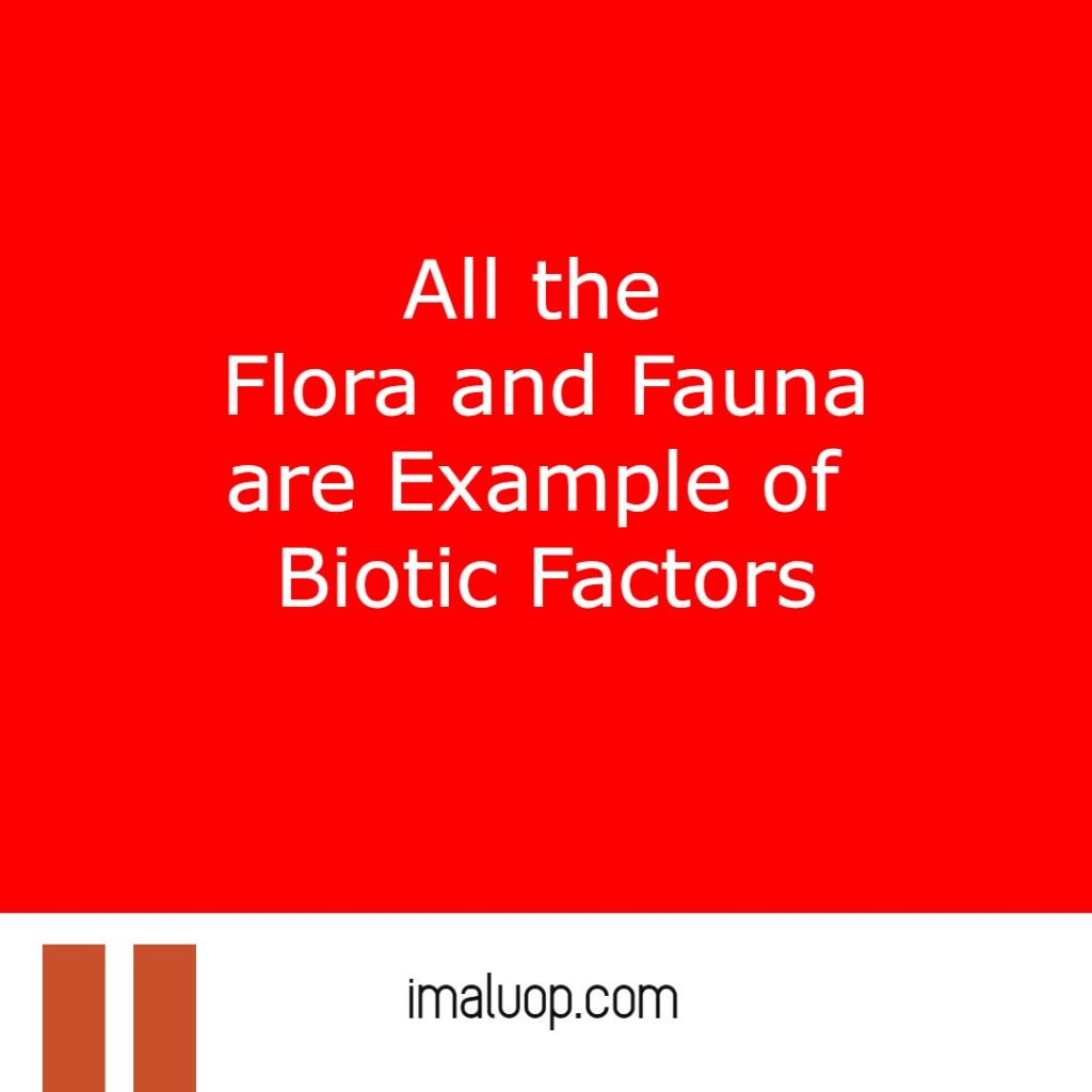 Difference Between Biotic Factors and Abiotic Factors