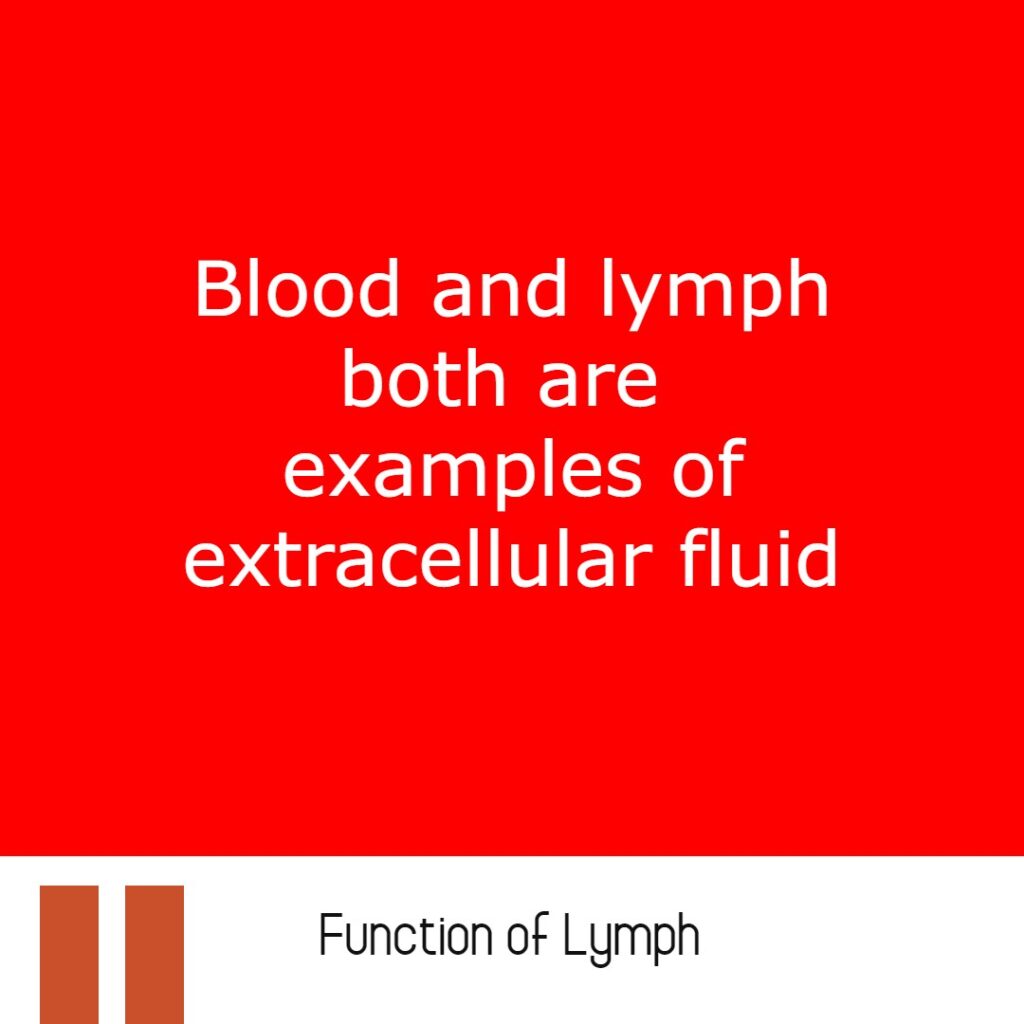 Difference between blood and lymph
