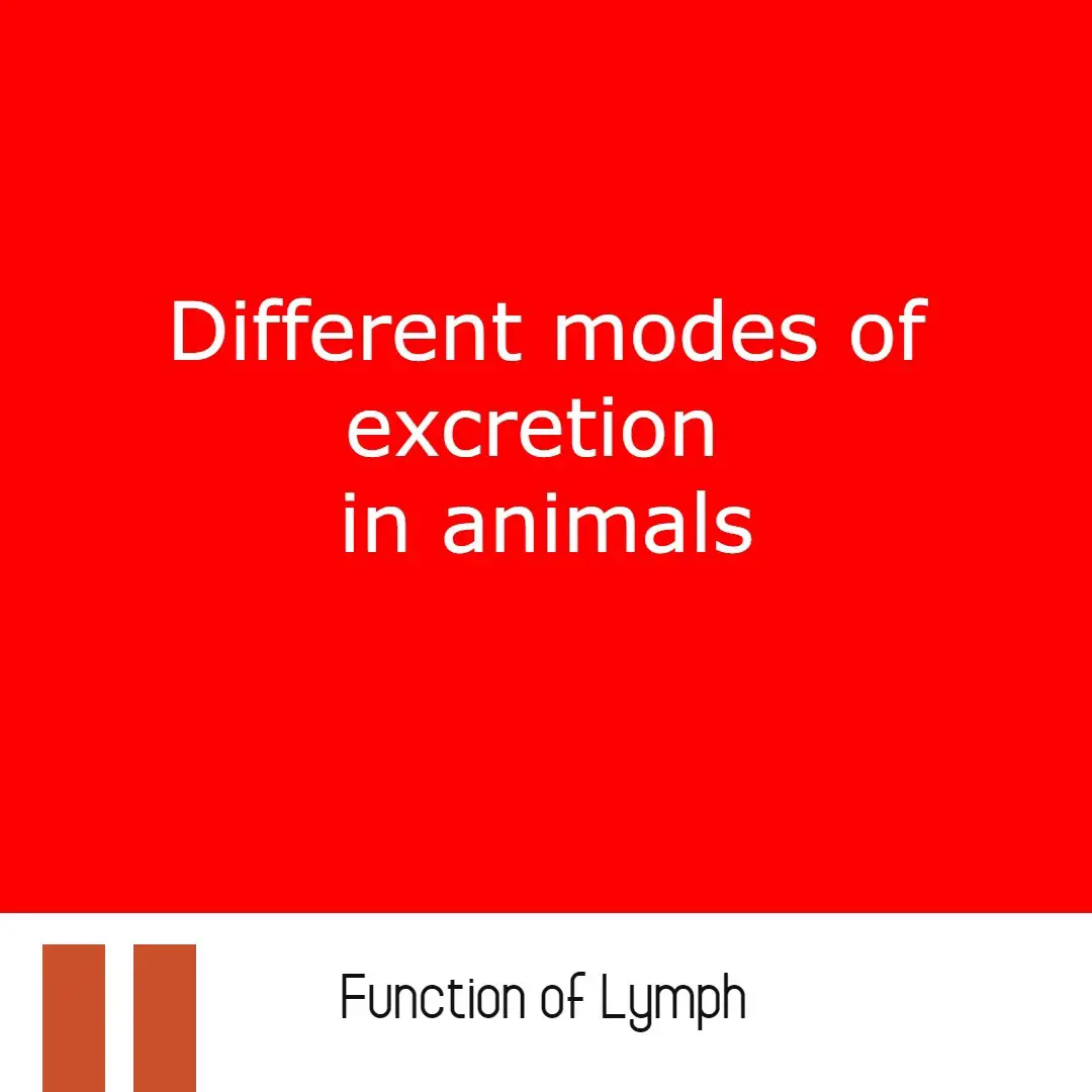 Different modes of excretion in animals