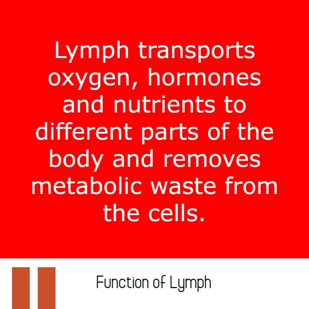 Function of lymph _ Transport