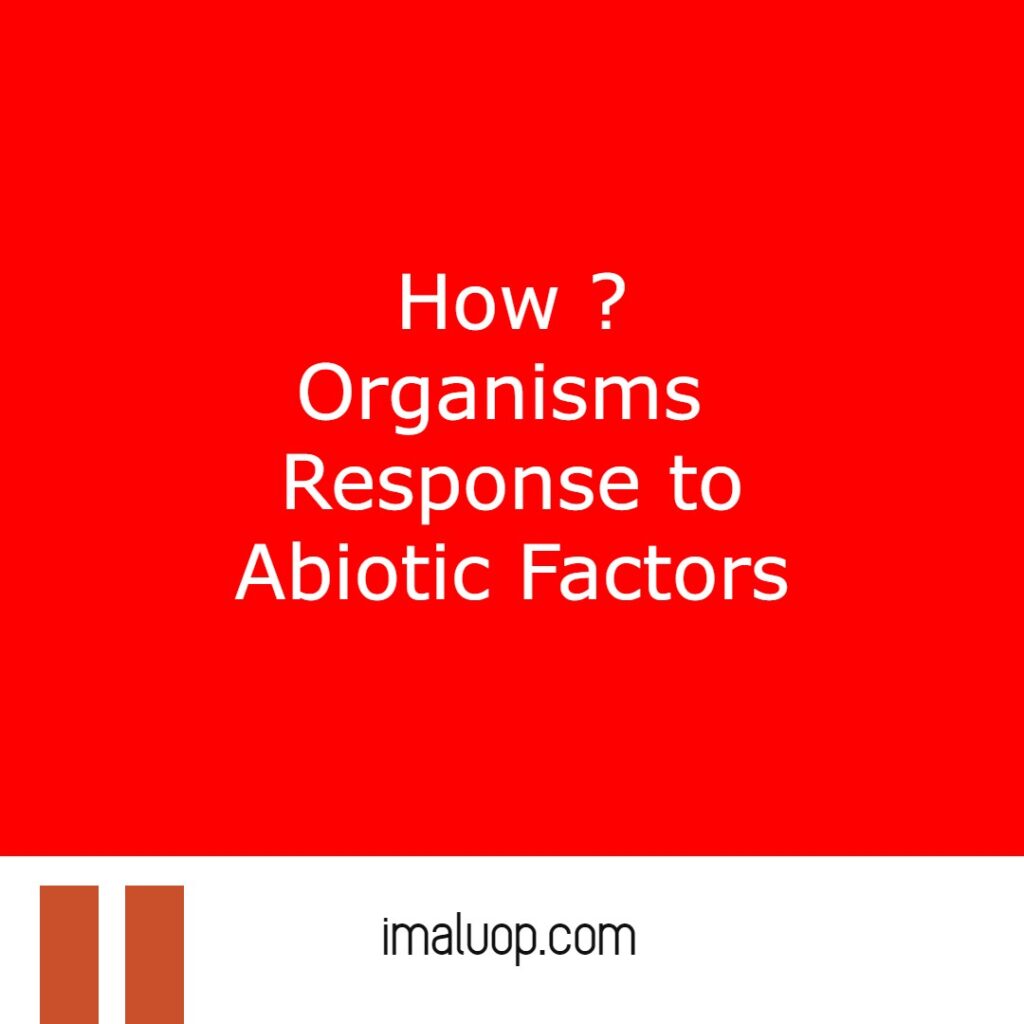 How Organisms Response to Abiotic Factors