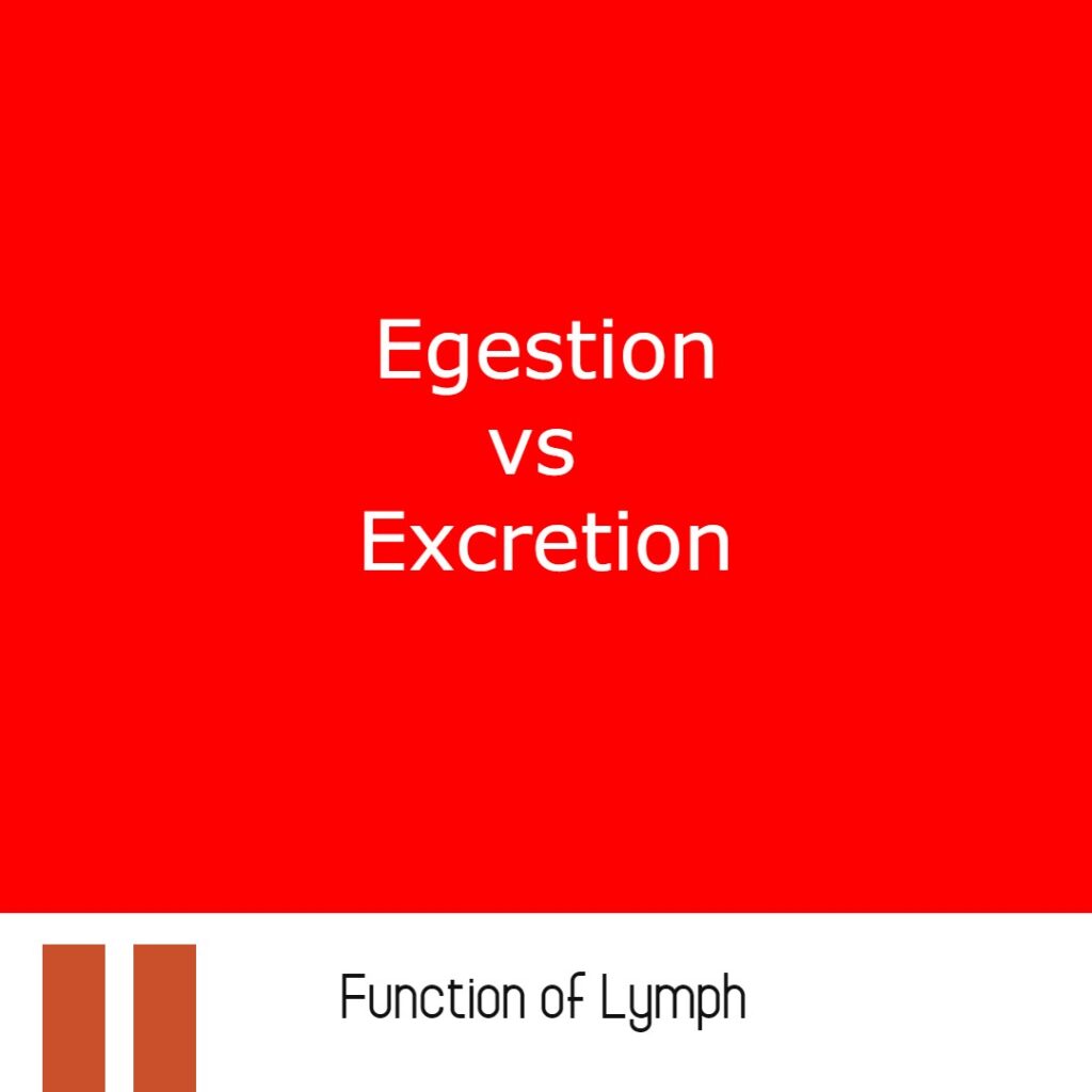 Major Difference Between Egestion and Excretion