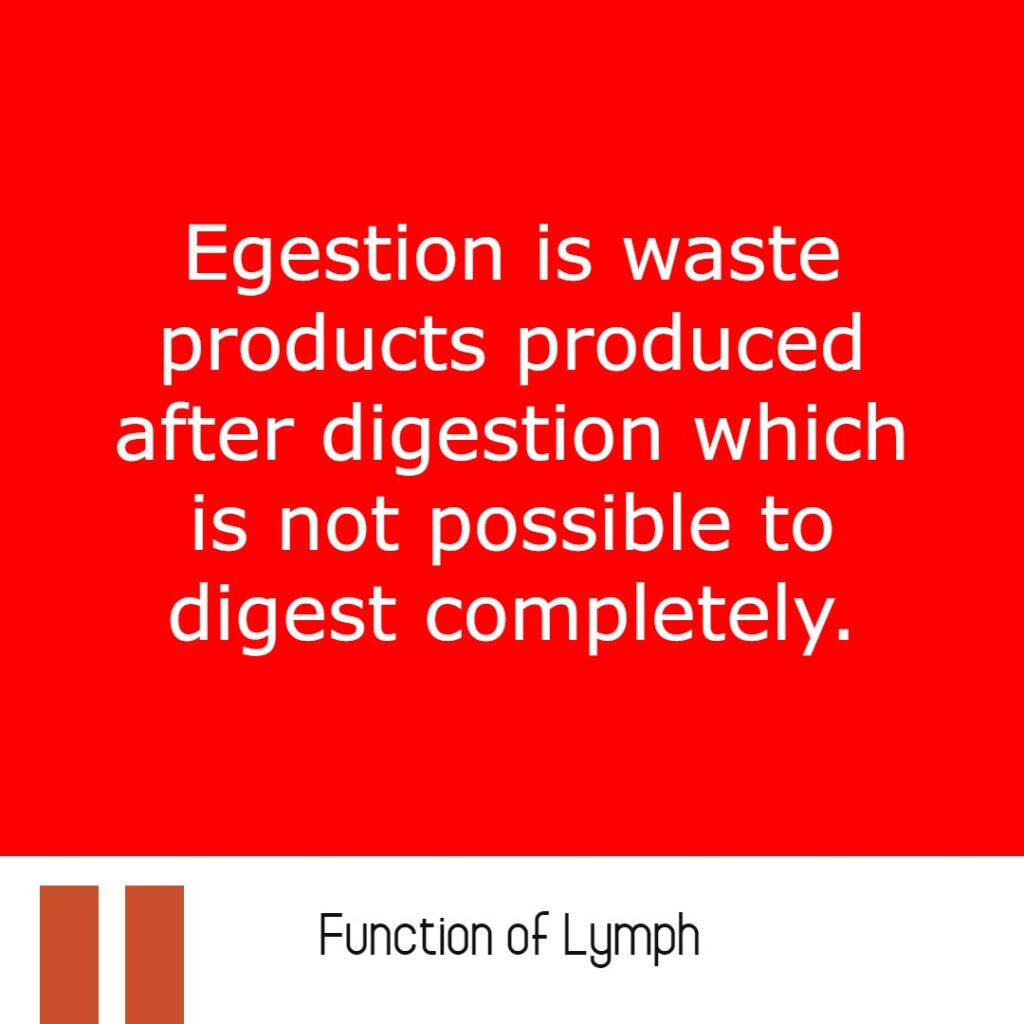 Major Difference Between Egestion and Excretion