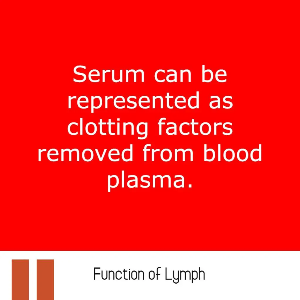 Major Difference Between Plasma and Serum