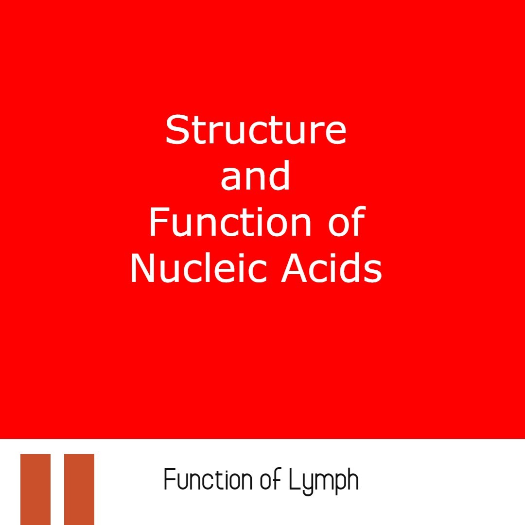 Structure and Function of Nucleic Acids