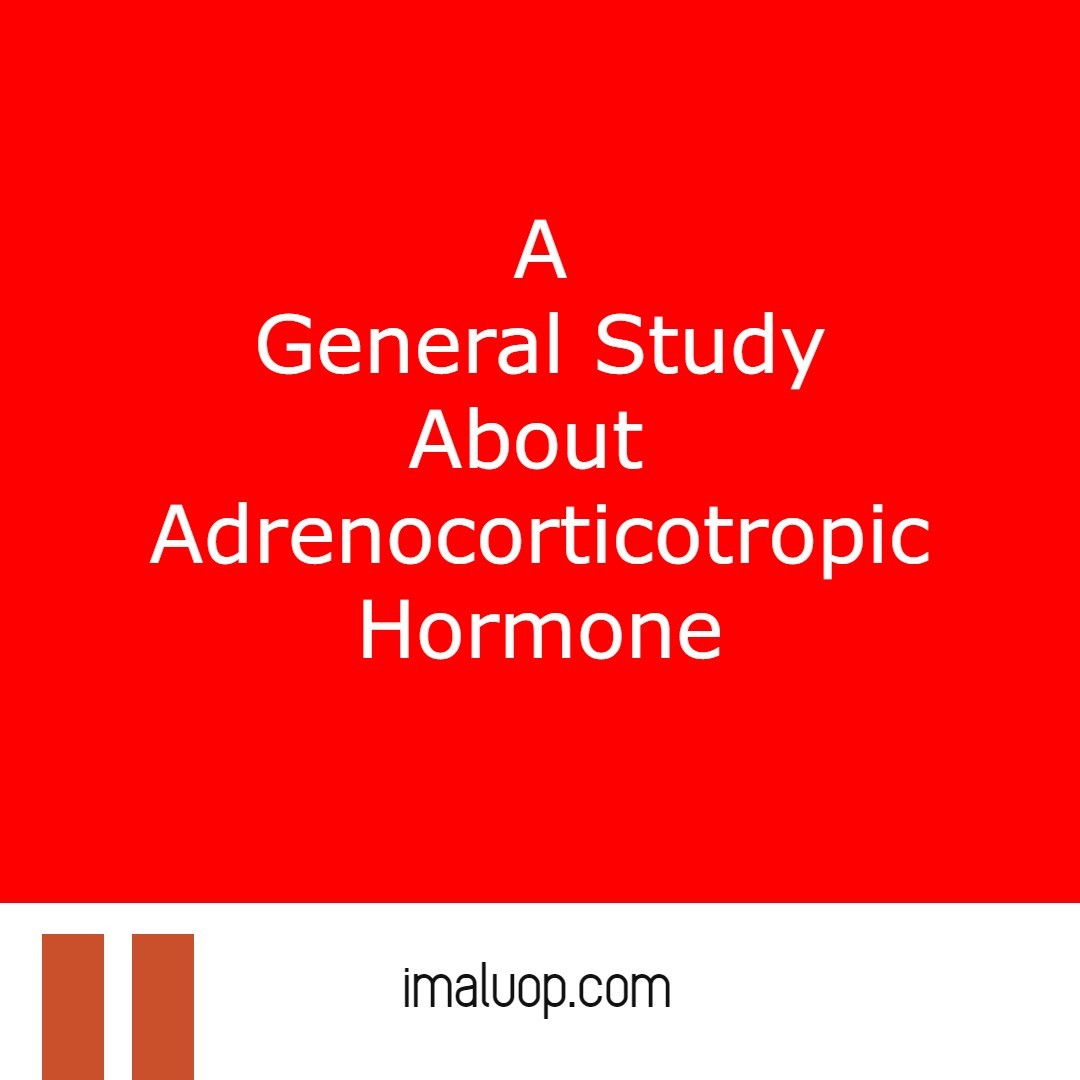 A General Study About Adrenocorticotropic Hormone