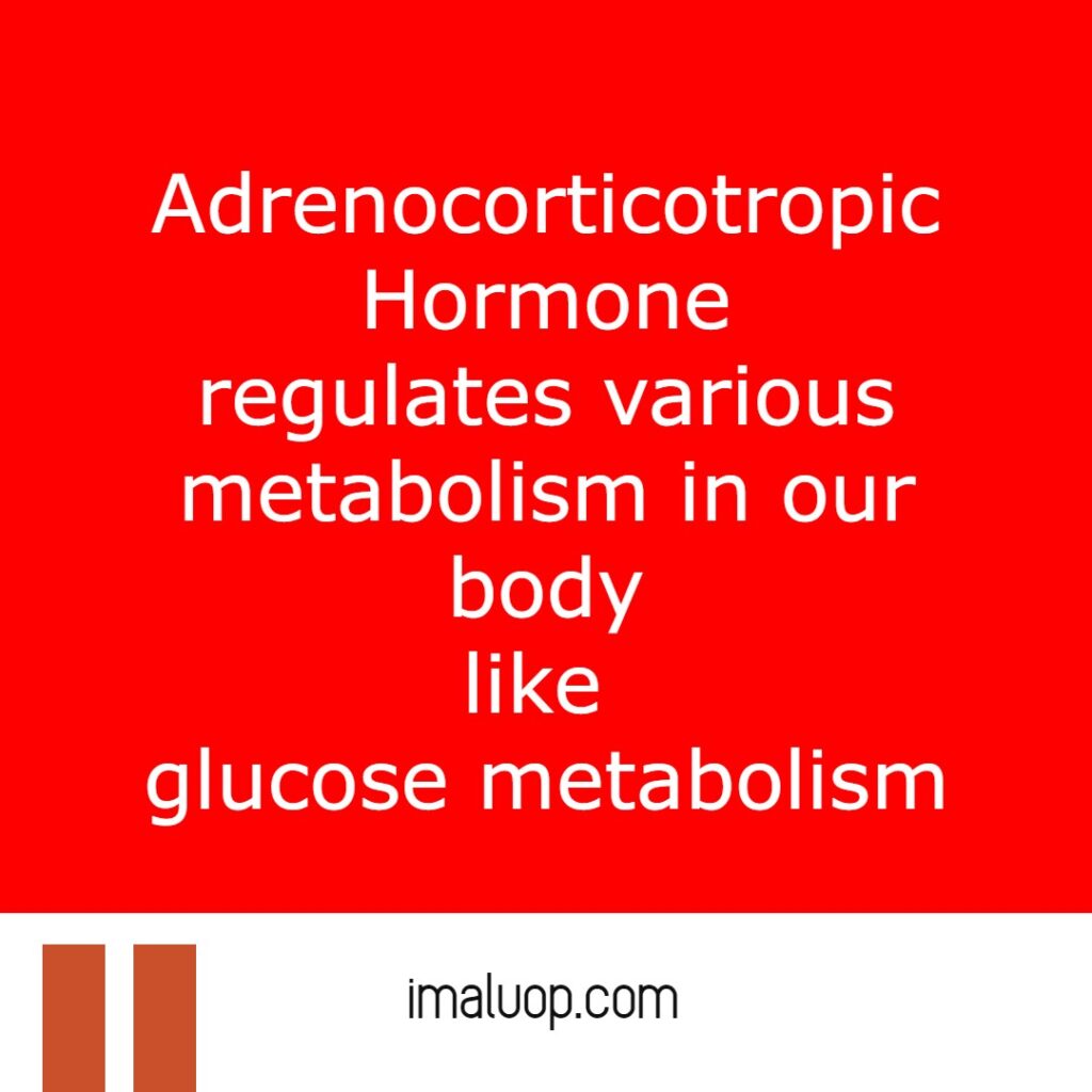 A General Study About Adrenocorticotropic Hormone