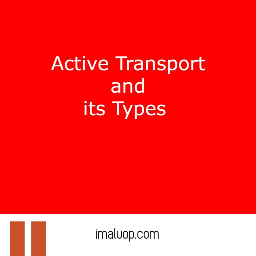 Active Transport and its Types 