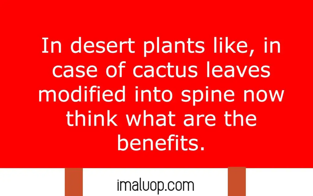 Adaptation of Plant in different Environment