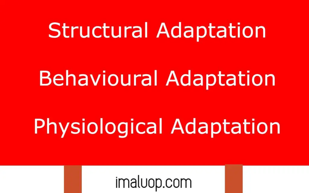 Adaptation types and Examples 