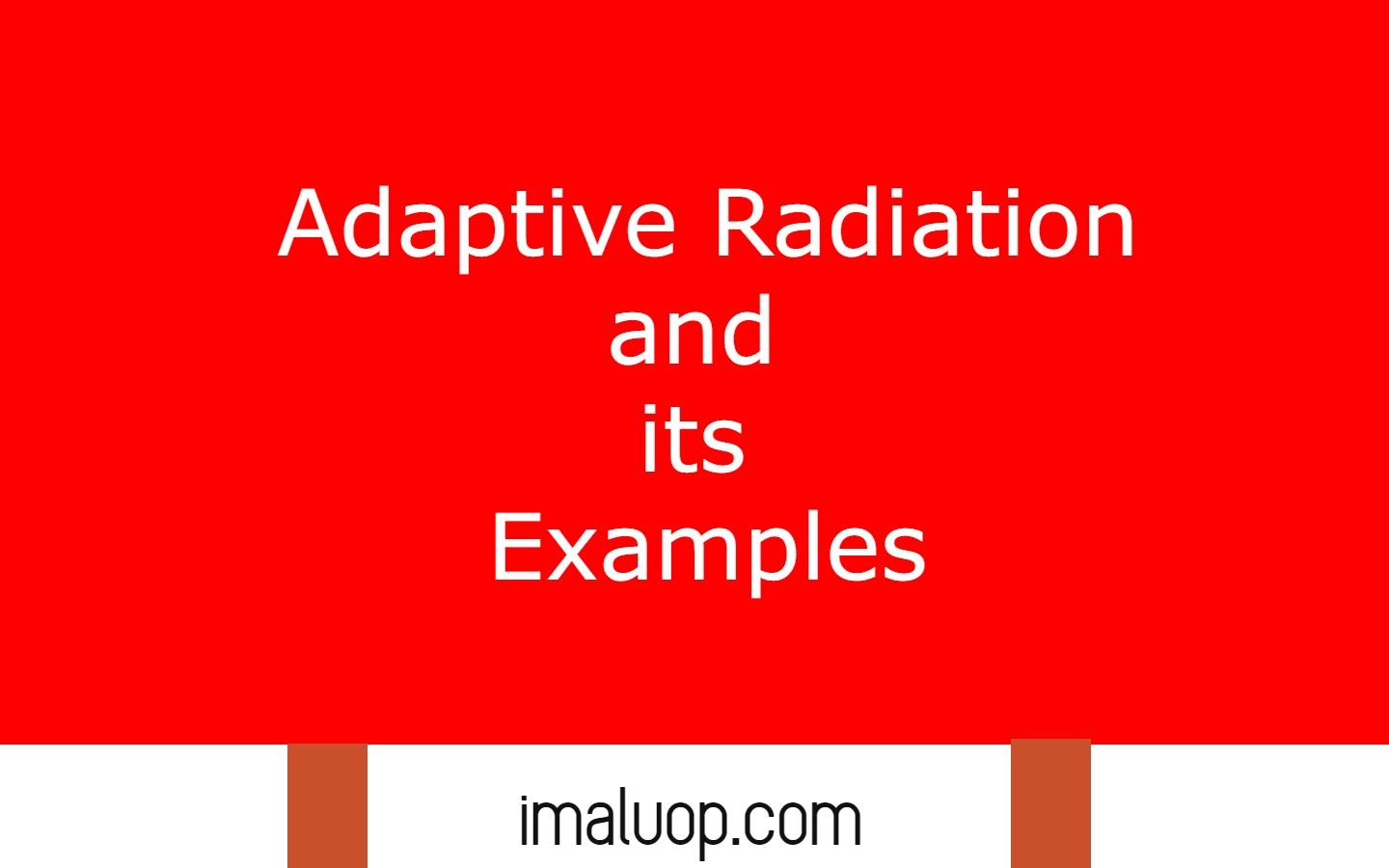 Adaptive Radiation and its Examples