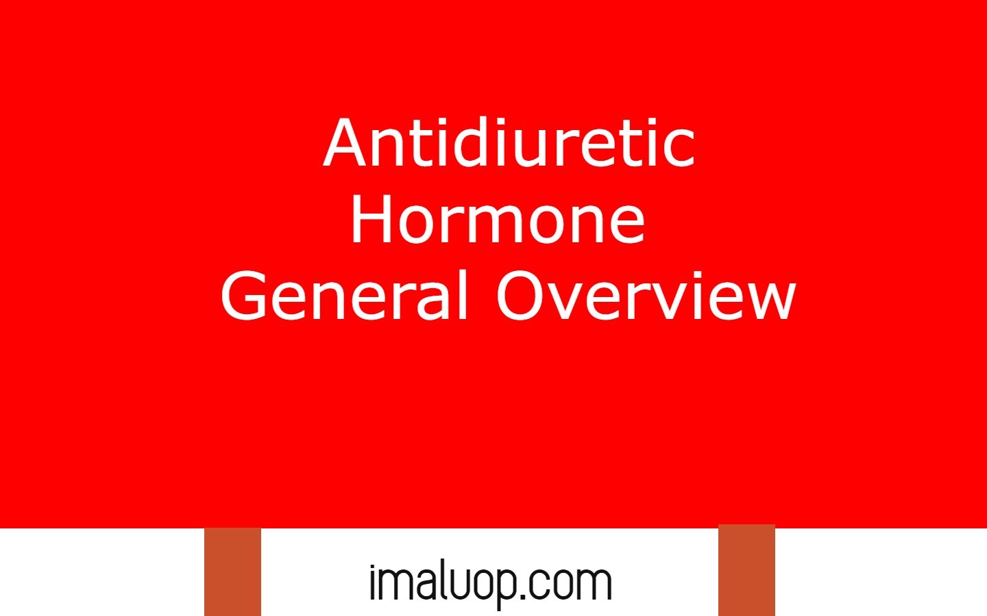 Antidiuretic Hormone General Overview