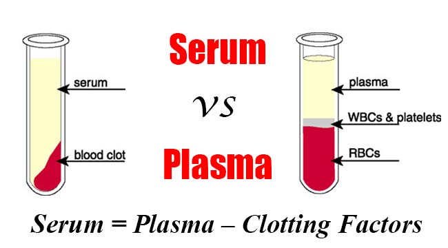 Major Difference Between Plasma and Serum