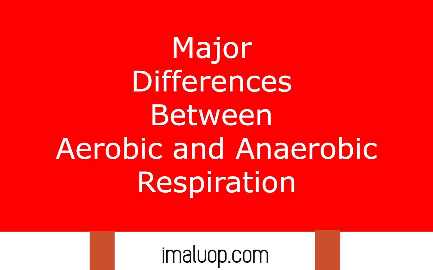 Differences Between Aerobic and Anaerobic Respiration