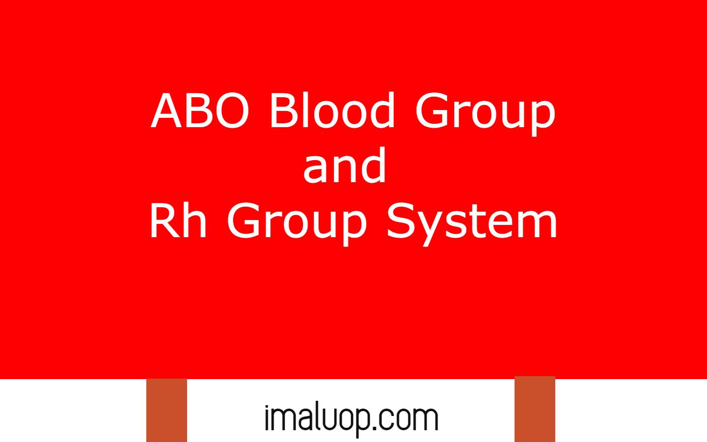 ABO Blood Group and Rh Group System
