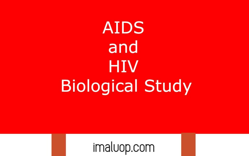 AIDS and HIV Biological Study