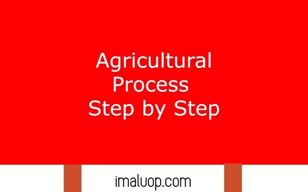 Agricultural Process Step by Step