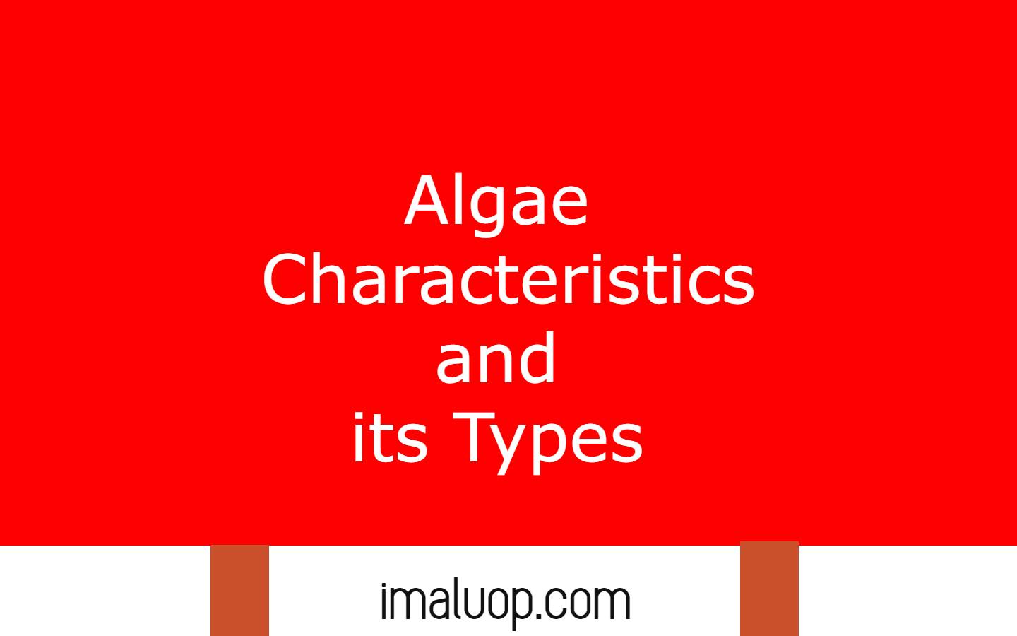 Algae Characteristics and its Types