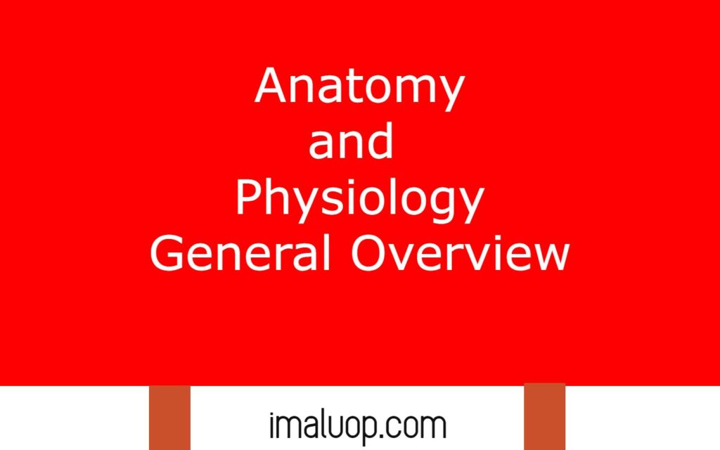 Anatomy and Physiology General Overview