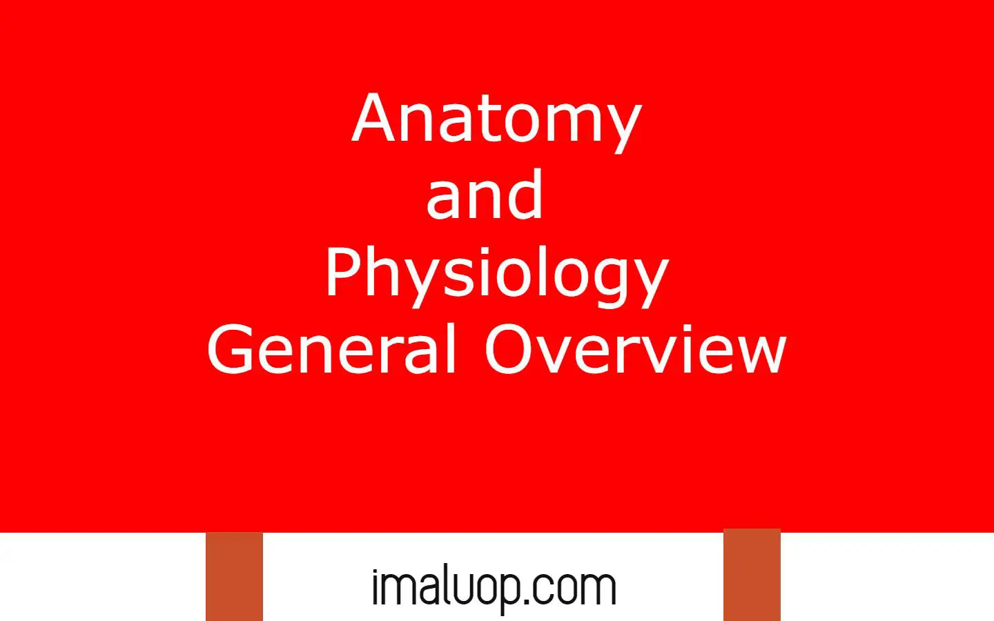 Anatomy and Physiology General Overview