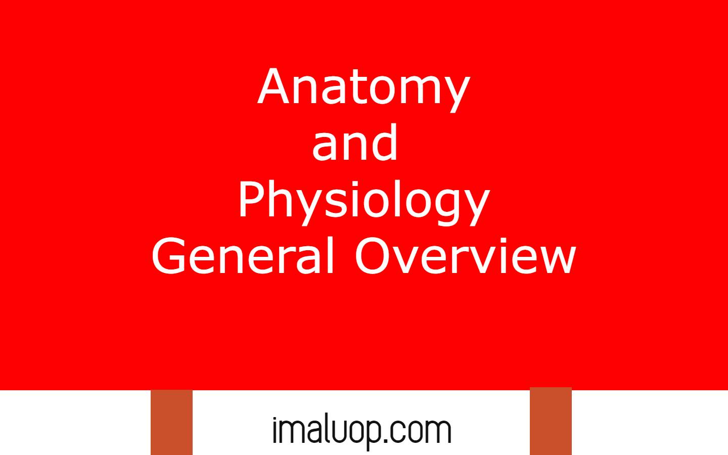 Anatomy and Physiology General Overview