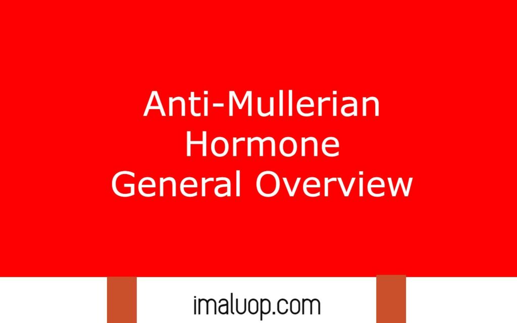 Anti-Mullerian Hormone General Overview