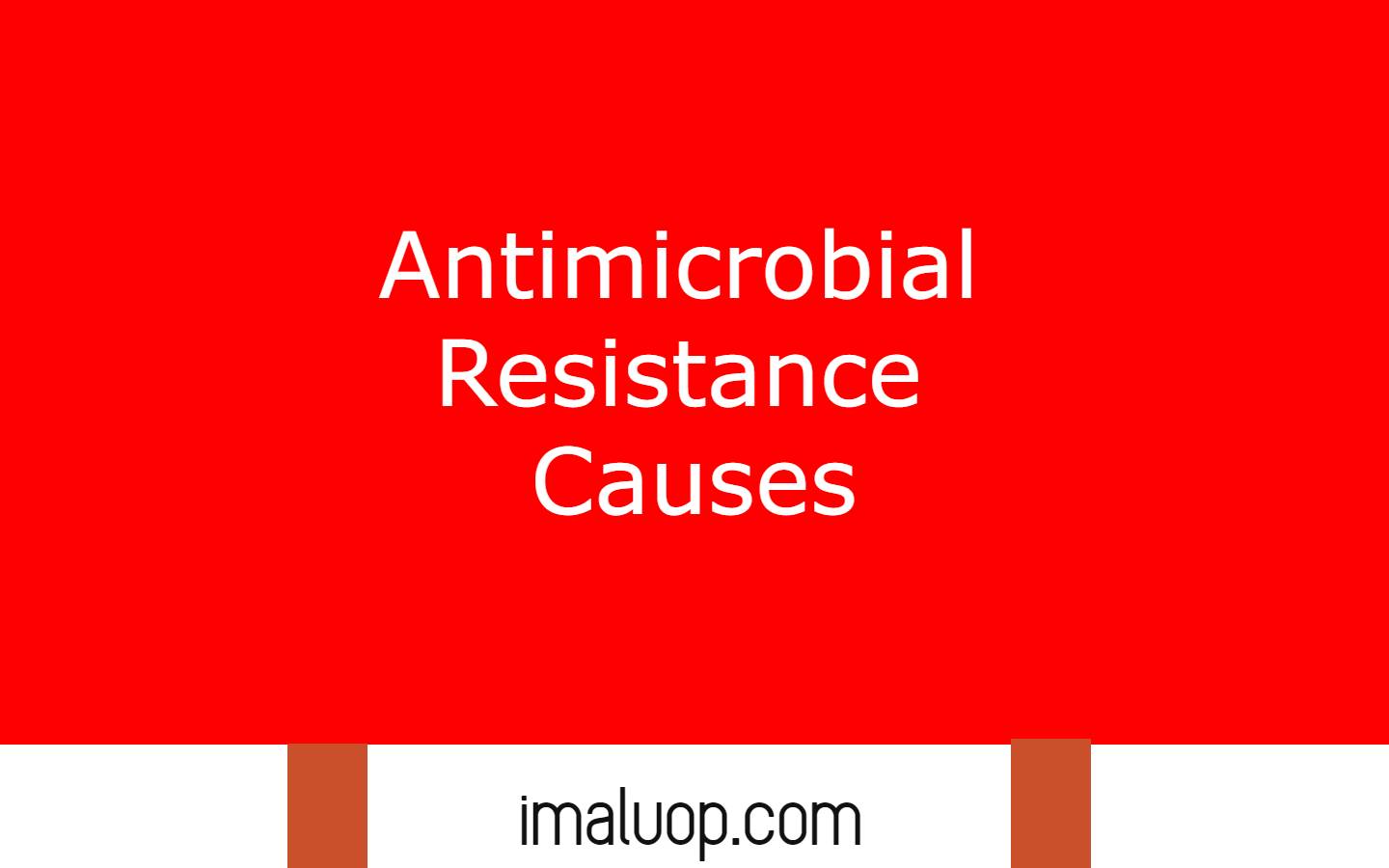 Antimicrobial Resistance Causes