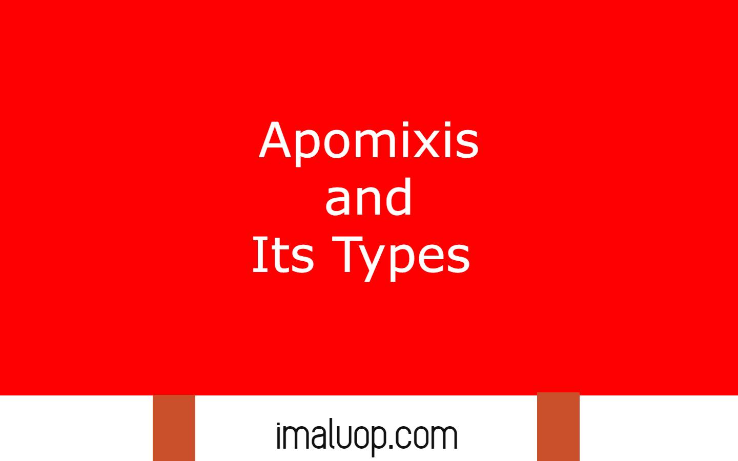 Apomixis and Its Types