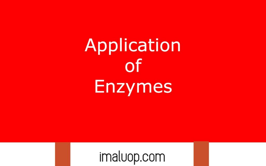 Application of Enzymes