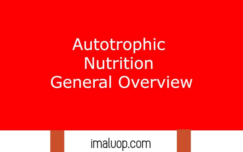 Autotrophic Nutrition General Overview