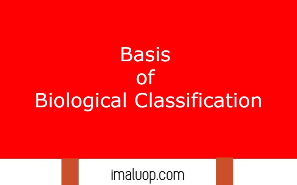 Basis of Biological Classification