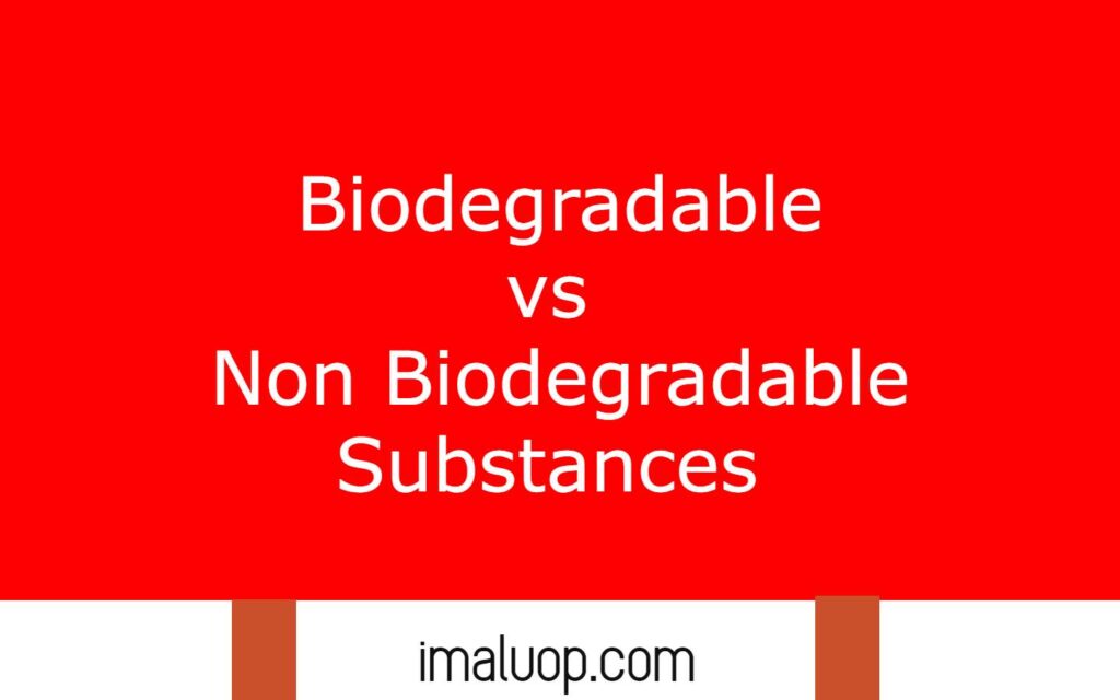 Biodegradable vs Non Biodegradable Substances 