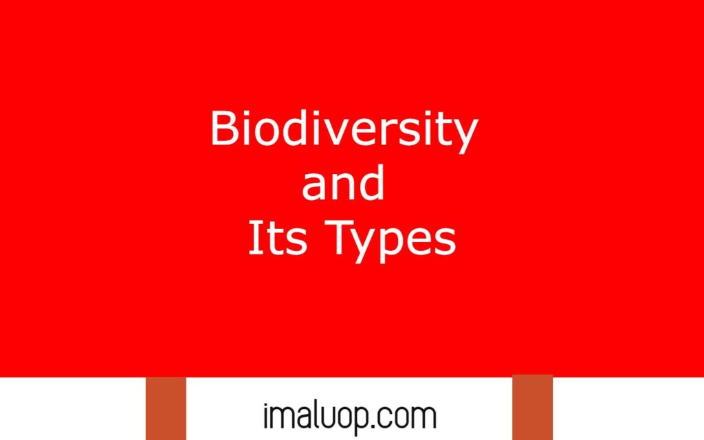 Biodiversity and Its Types