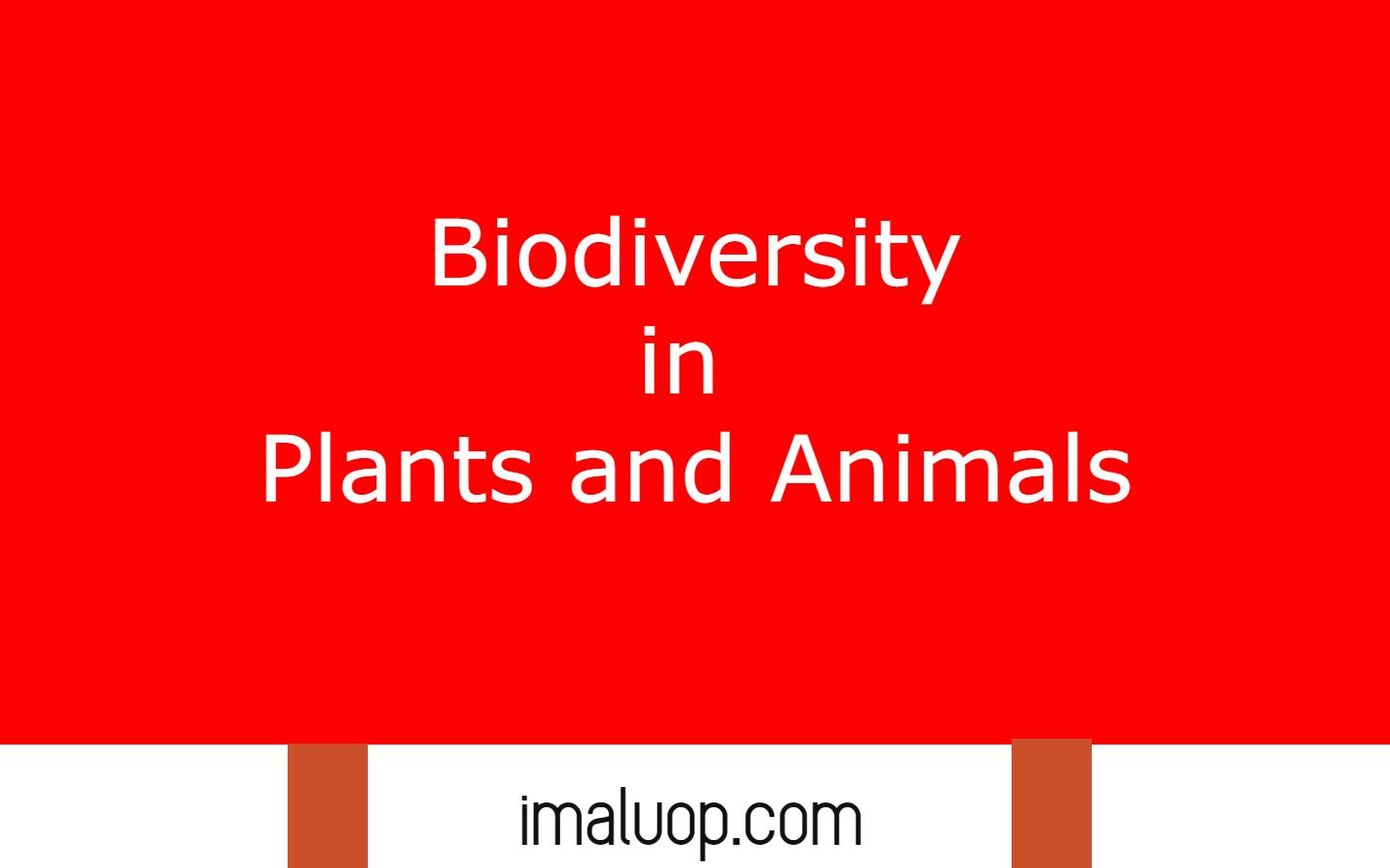 Biodiversity in Plants and Animals