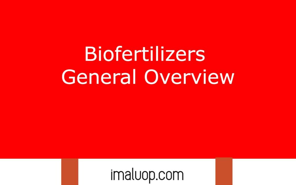 Biofertilizers General Overview