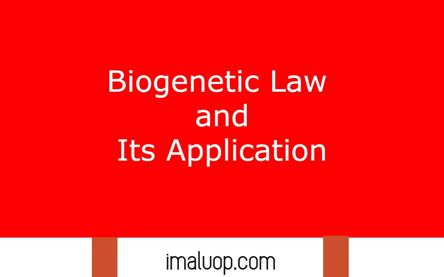 Biogenetic Law and its Application