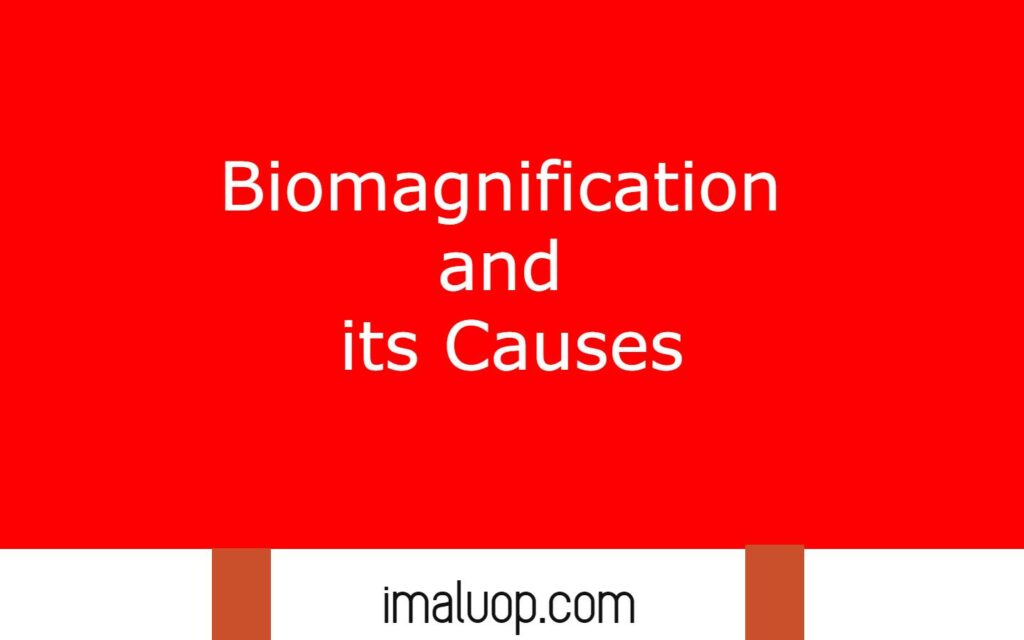 Biomagnification and its Causes