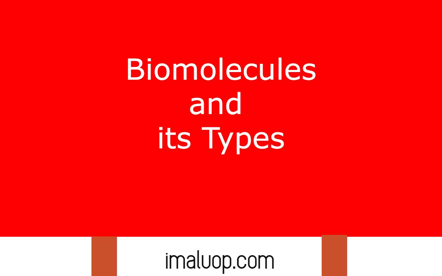 Biomolecules and their Types