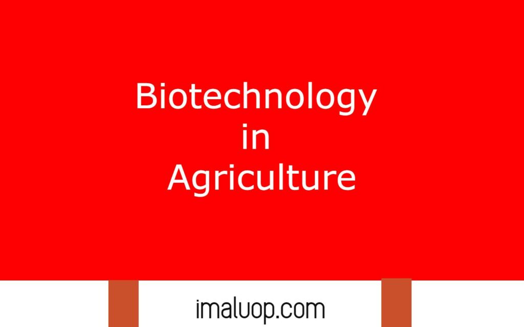 Biotechnology in Agriculture