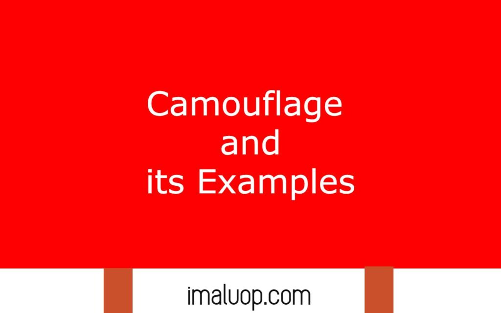 Camouflage and its Examples