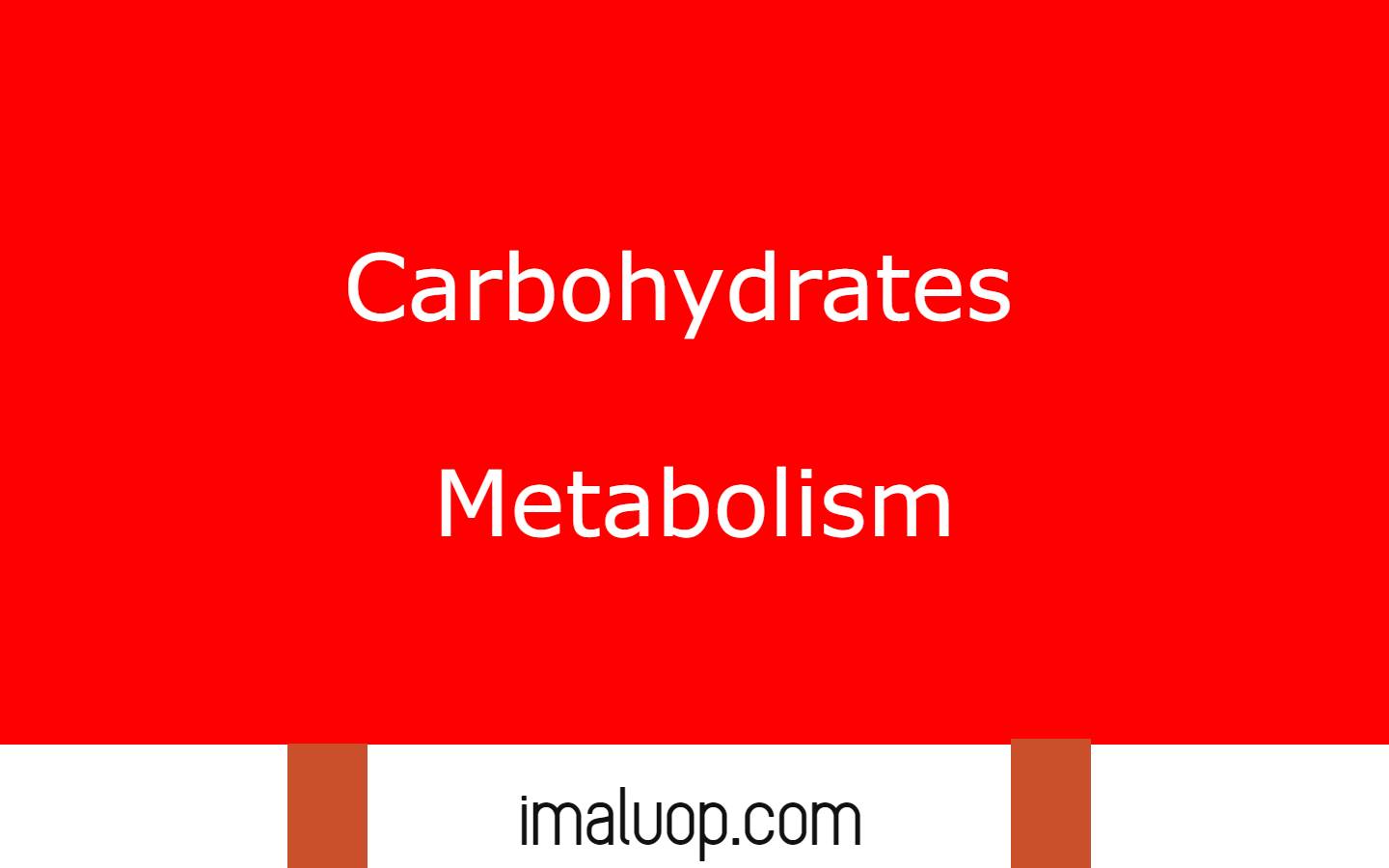 Carbohydrates Metabolism