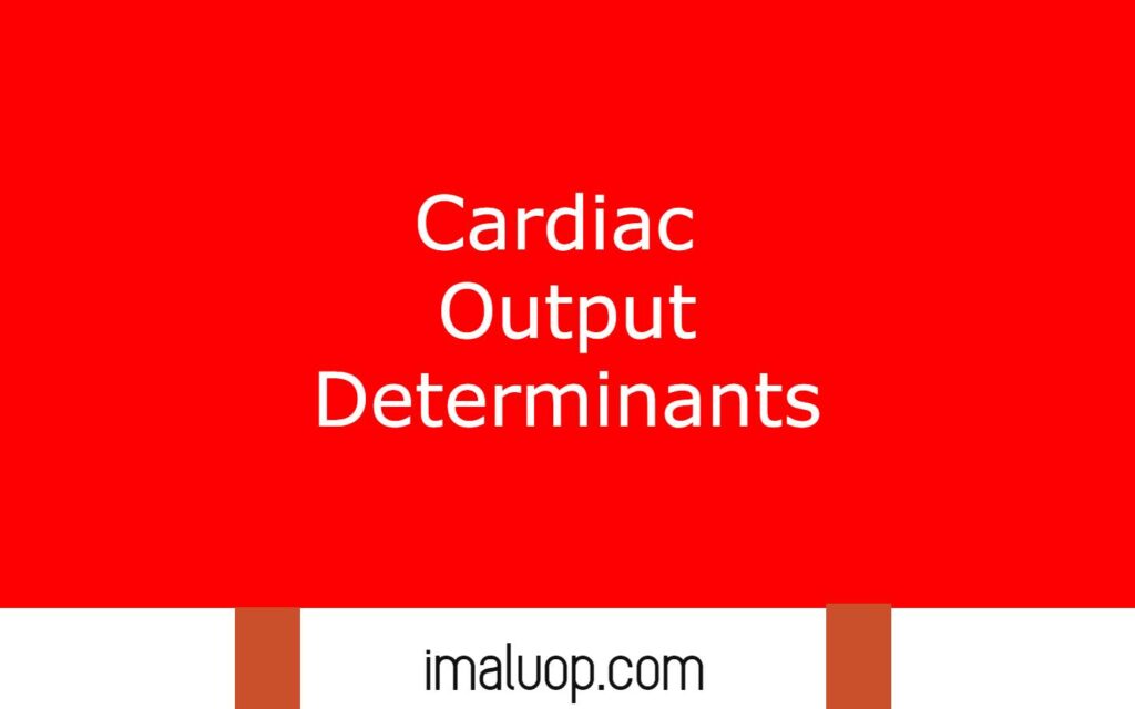 Cardiac Output Determinants