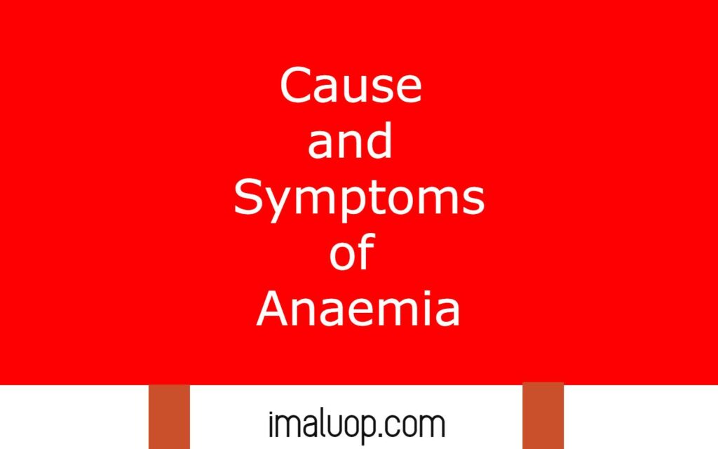 Causes and Symptoms of Anaemia
