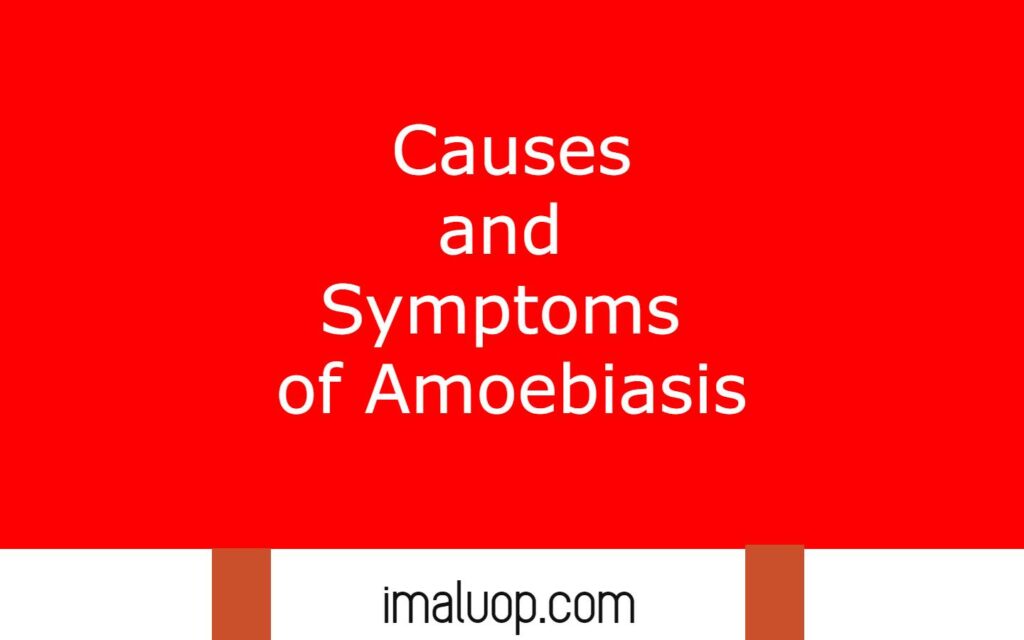 Causes and Symptoms of Amoebiasis
