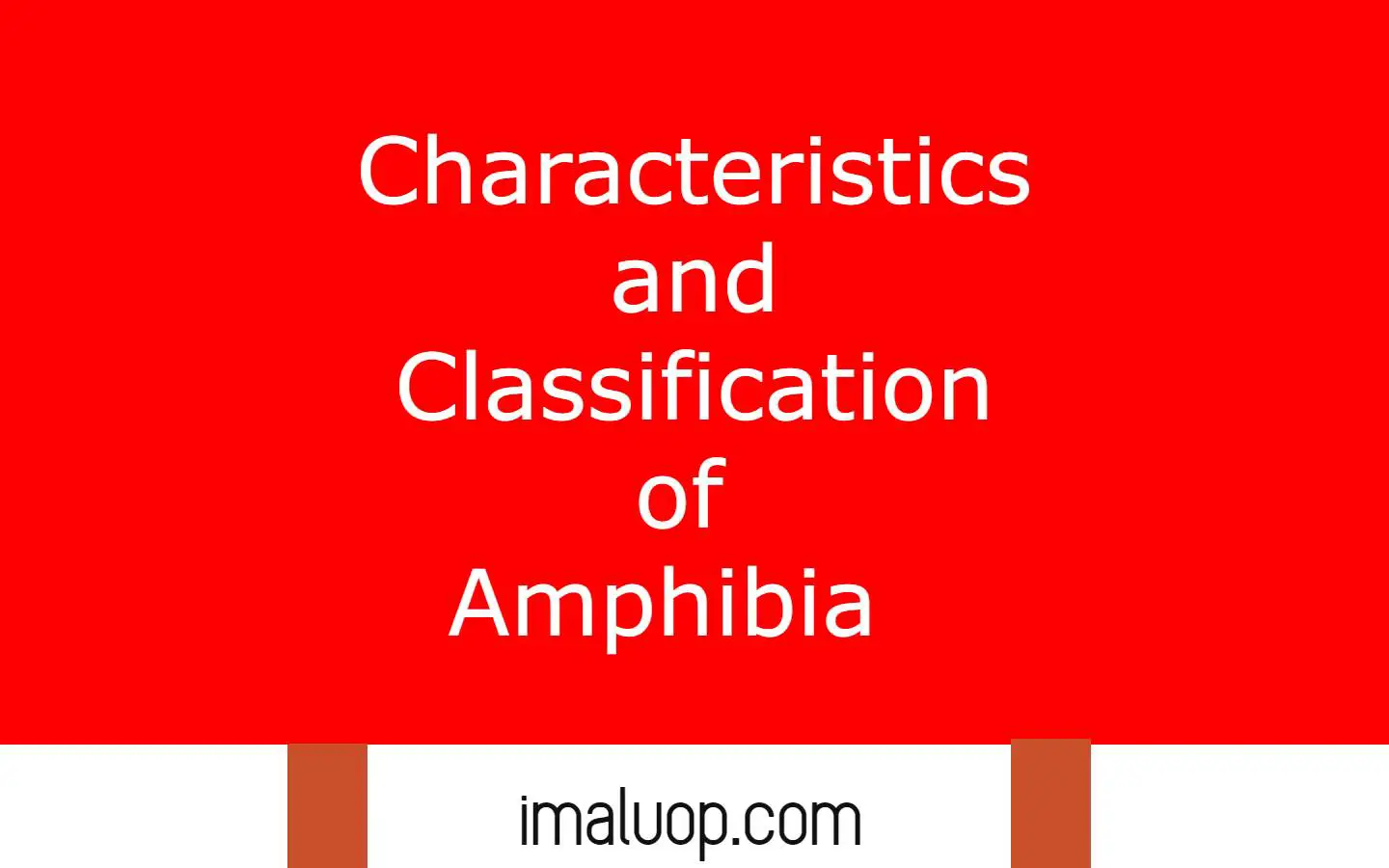 Characteristics and Classification of Amphibia