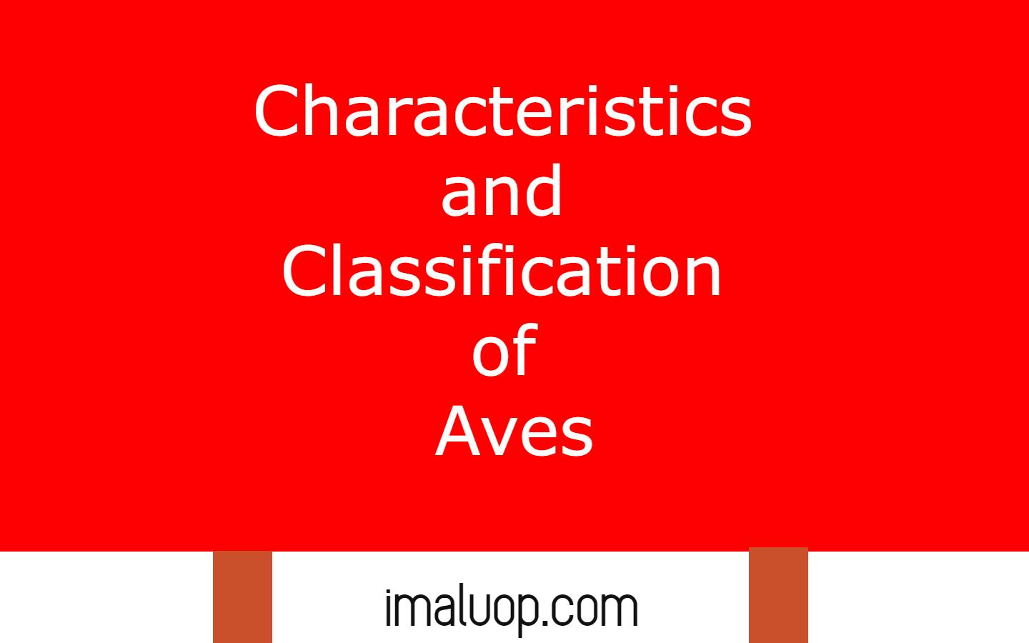 Characteristics and Classification of Aves
