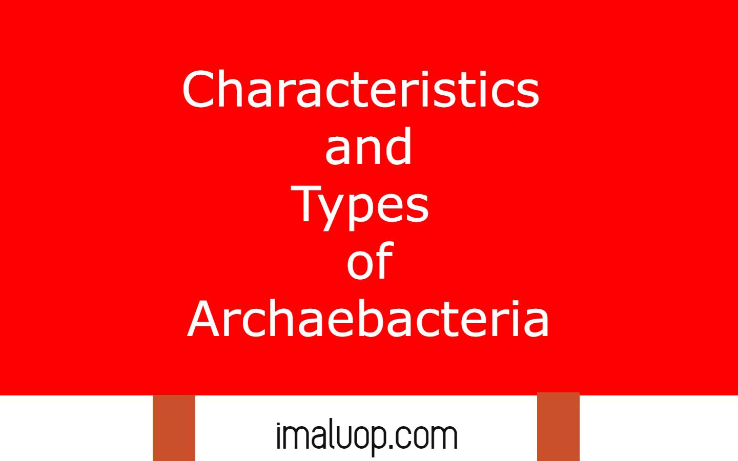 Characteristics and Types of Archaebacteria